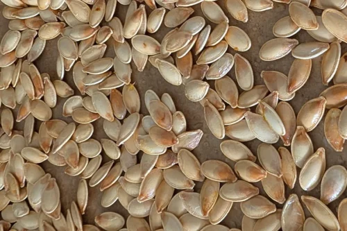 Graines de citrouille cuites
