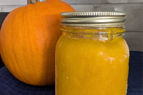 Purée de citrouille